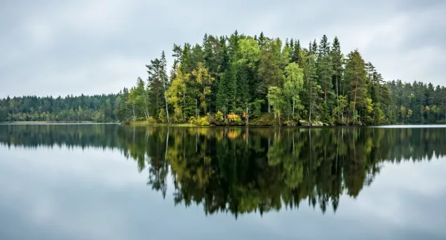 Dalsland Header