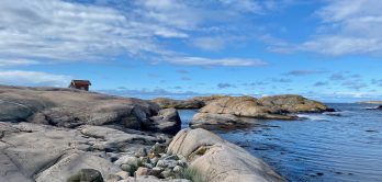 Hiking Package Saltviks 1