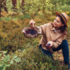 Woman picking bilberries blueberries and lingonberries in autumn forest putting them in basket.